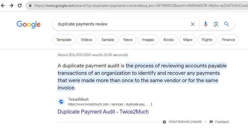 duplicate payments reviews performed by Twice2Much